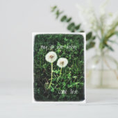 希望 ポストカード (スタンド正面)