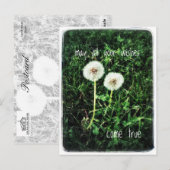 希望 ポストカード (正面/裏面)