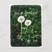 希望 ポストカード (正面)