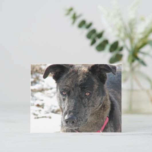 希望 ポストカード (スタンド正面)