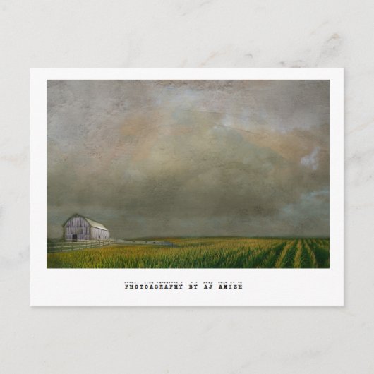 希望 –  ポストカード (正面)