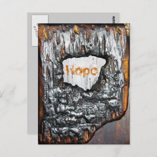 希望 ポストカード (正面/裏面)