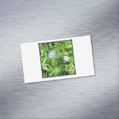 希望 マグネット名刺 (インサイチュ)