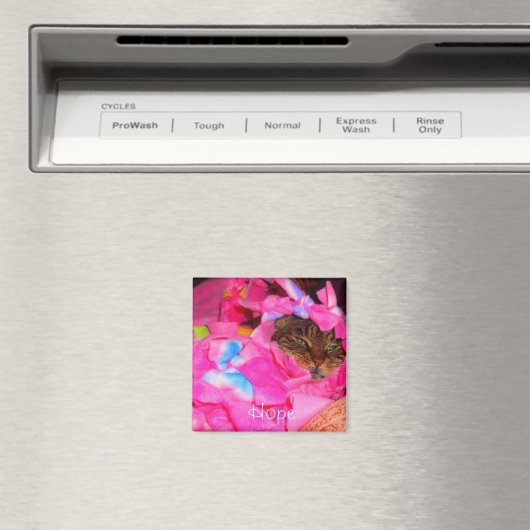 希望 マグネット (インサイチュ (食洗機))