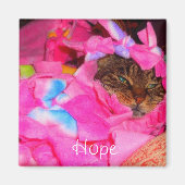 希望 マグネット (正面)