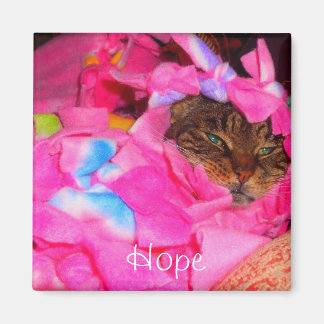 希望 マグネット