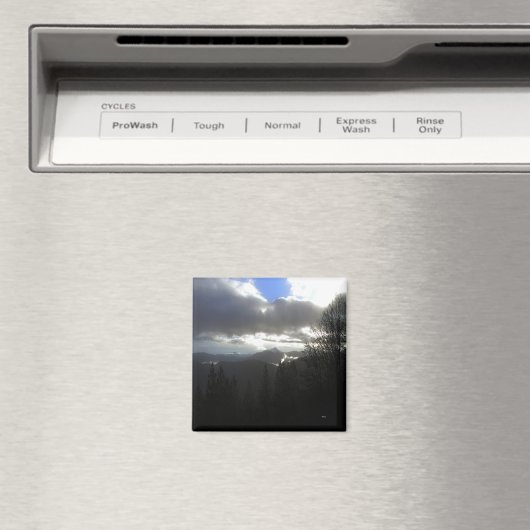 希望…... マグネット (インサイチュ (食洗機))