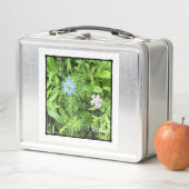 希望 メタルランチボックス (インサイチュ)