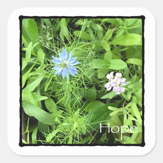 希望（大） スクエアシール (正面)