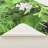 希望（小） シェルパブランケット (3/4)