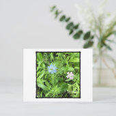 希望（水平） ポストカード (スタンド正面)