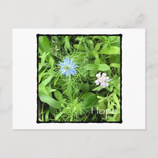 希望（水平） ポストカード (正面)