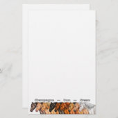 希薄な馬 便箋 (正面/裏面)