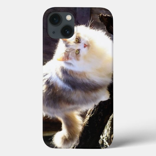 希釈カリコメーンクーンキャットパッドケース Case-Mate iPhoneケース (裏面)
