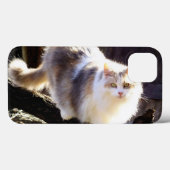希釈カリコメーンクーンキャットパッドケース Case-Mate iPhoneケース (裏面 (横))