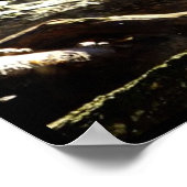 希釈カリコメーンクーンキャットポスター ポスター (角)