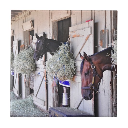 帝国メーカーによるStanwyck タイル (正面)