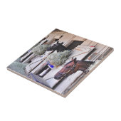 帝国メーカーによるStanwyck タイル (側面)