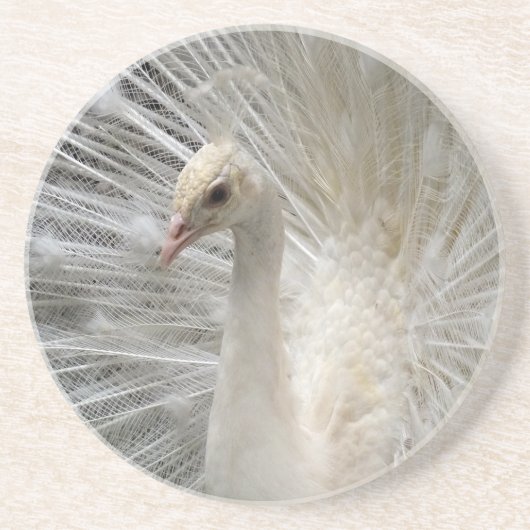 帝国孔雀 コースター (正面)