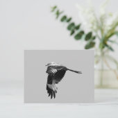 帯域幅バージョン：飛行中の赤凧（ロッミラノ） ポストカード (スタンド正面)