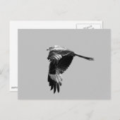 帯域幅バージョン：飛行中の赤凧（ロッミラノ） ポストカード (正面/裏面)