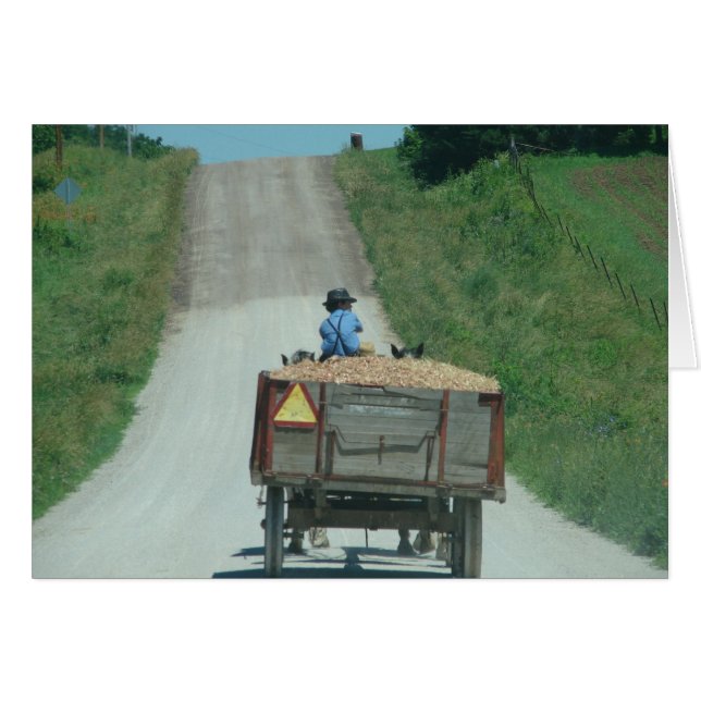 帰宅中 (正面横)