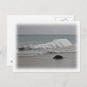 帰宅中 ポストカード (正面/裏面)