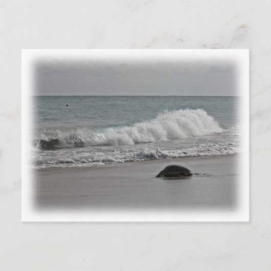 帰宅中 ポストカード (正面)