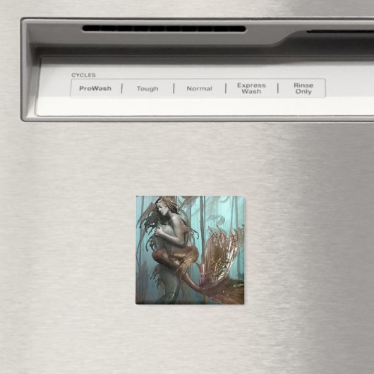 帰宅磁石 マグネット (インサイチュ (食洗機))