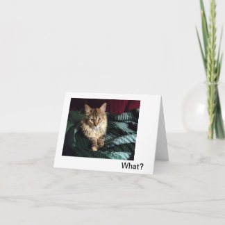 帰宅 サンキューカード