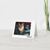 帰宅 サンキューカード (正面)