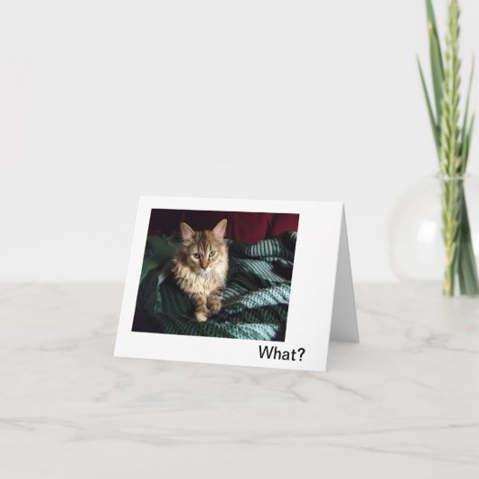 帰宅 サンキューカード (正面)