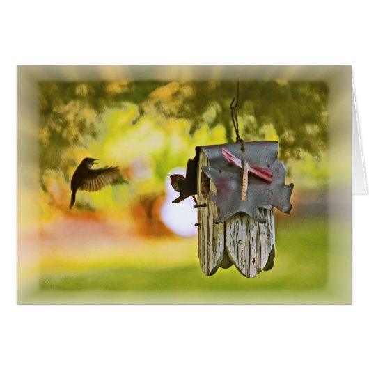 帰郷する (正面横)