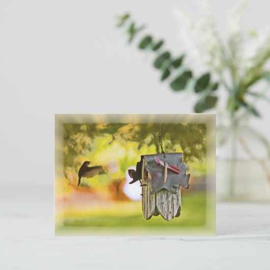 帰郷する ポストカード (スタンド正面)