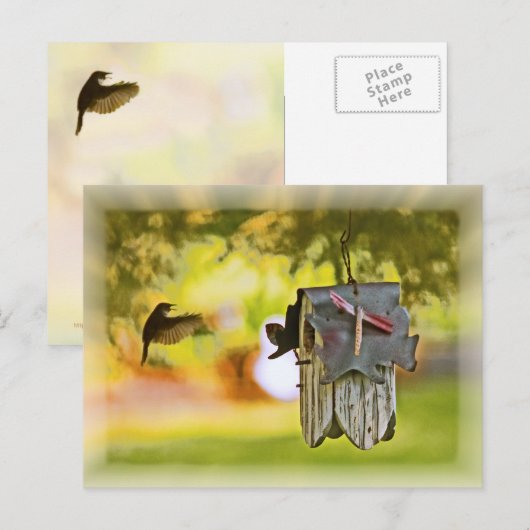 帰郷する ポストカード (正面/裏面)