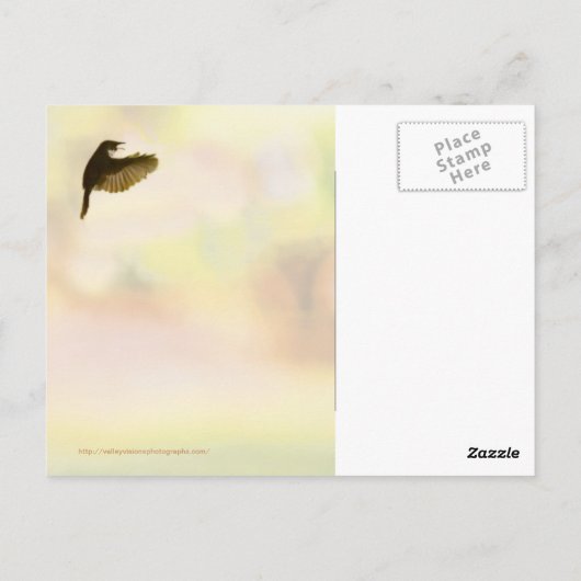 帰郷する ポストカード (裏面)