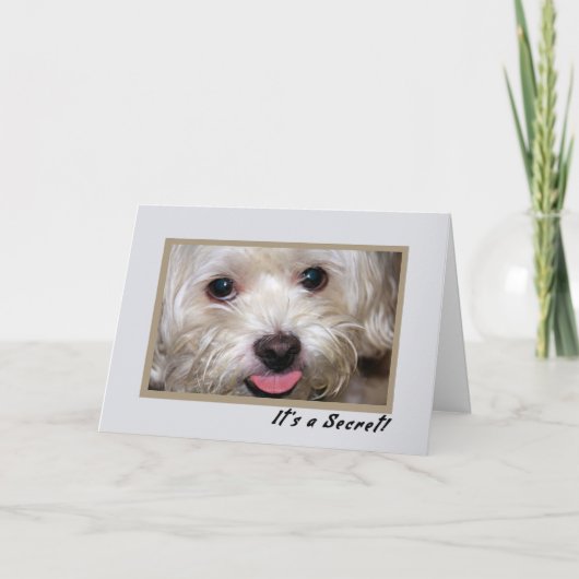 帰郷息子の秘密招待状パーティー 招待状 (正面)