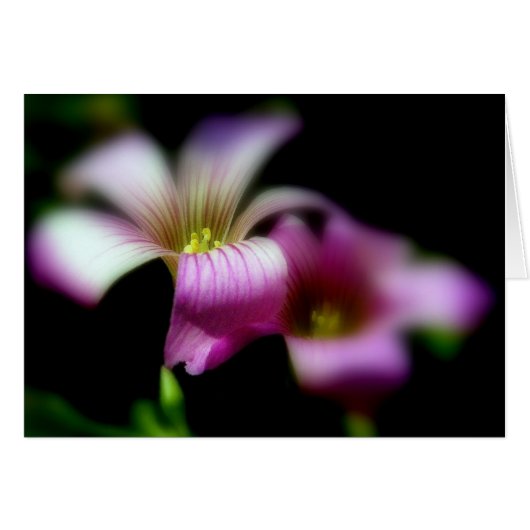 常にあなたの側愛結婚式の招待状 (正面横)