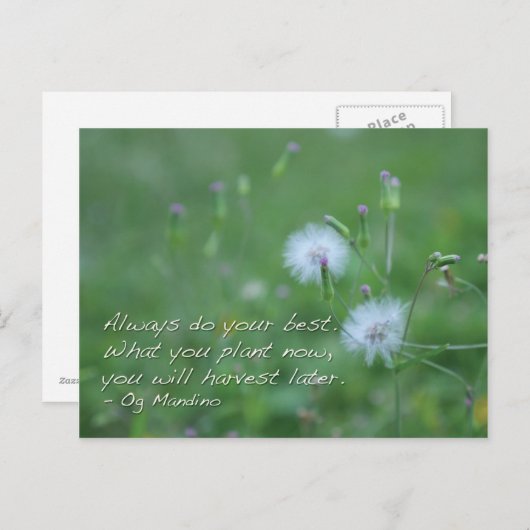 常にあなたの最高のを行う-やる気を起こさせる引用文 ポストカード (正面/裏面)