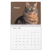 常にそして永久に収集できるカレンダー2019年 カレンダー (1月 2027)