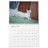 常にそして永久に カレンダー (2月 2027)