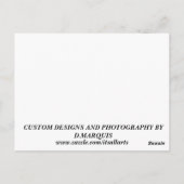 常にエレガント#6 ポストカード (裏面)