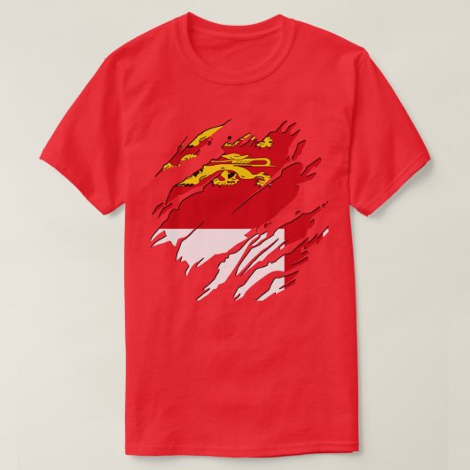 常にサーク Tシャツ (デザイン正面)