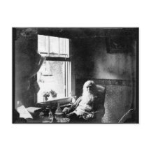 常に太陽に向かって：ミッケルストリートのホイットマン