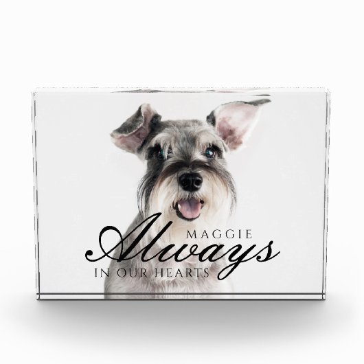 常に私たちのハートでペット記念記念 フォトブロック (正面)