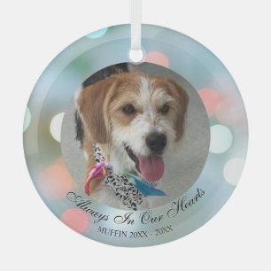 常に私たちのハート,ペット名日付フォトバルク文字 ガラスオーナメント