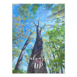 常に秋の空とを見上げる フォトプリント           