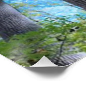 常に秋の空とを見上げる ポスター (コーナー)