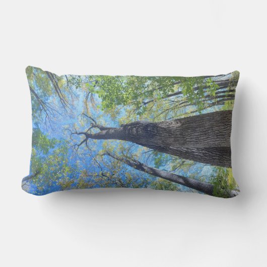 常に秋の空とを見上げる ランバークッション (正面)