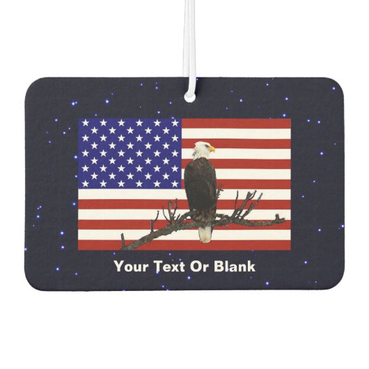 常に警戒するハゲワシ カーエアーフレッシュナー (正面)